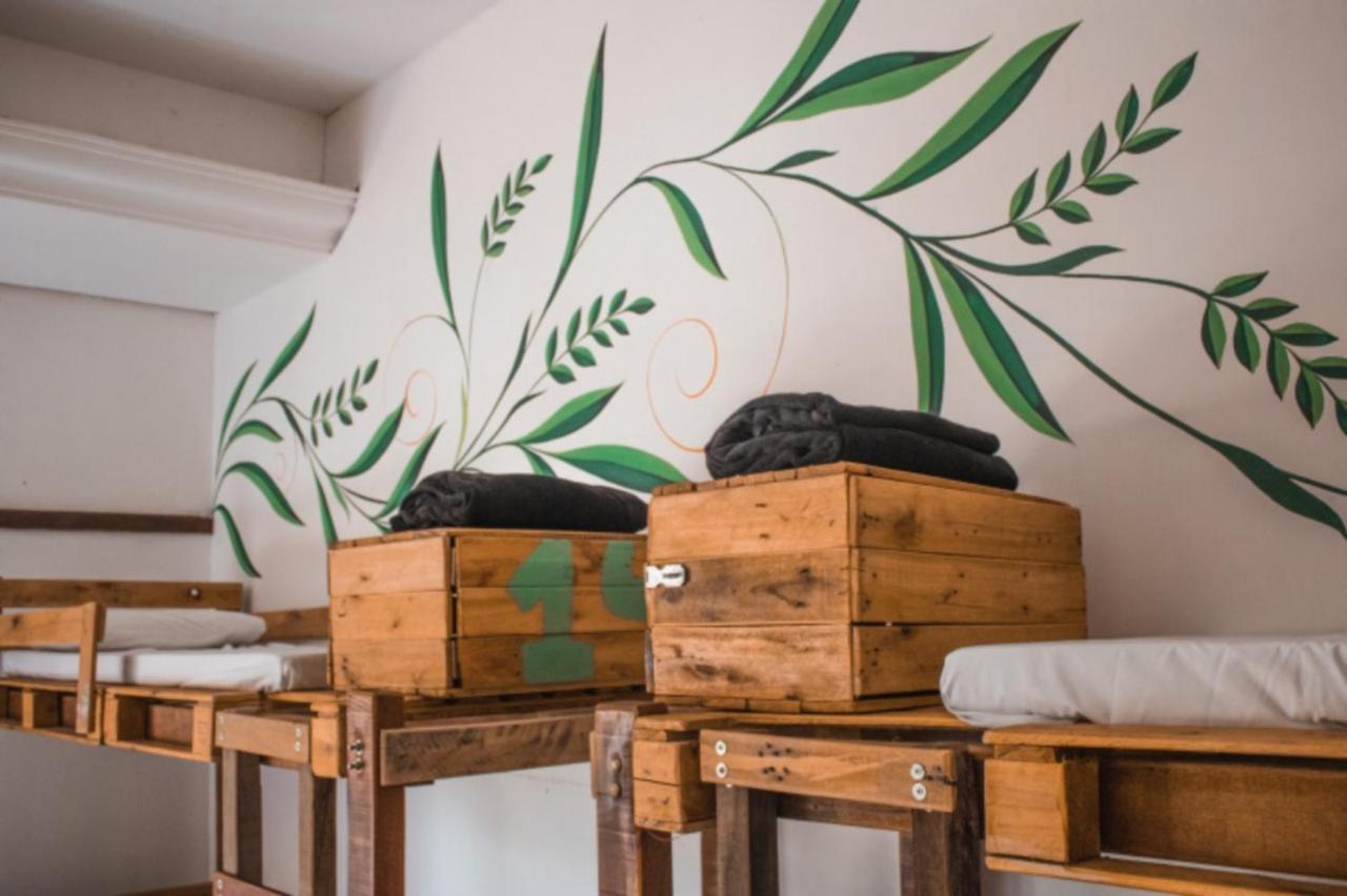 The Eco Palace Hostel Búzios المظهر الخارجي الصورة