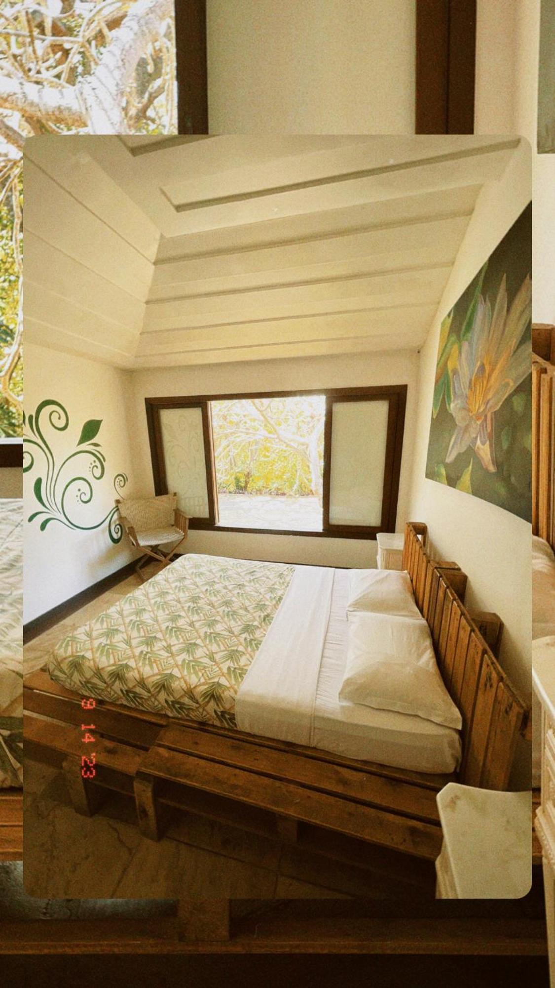 The Eco Palace Hostel Búzios المظهر الخارجي الصورة